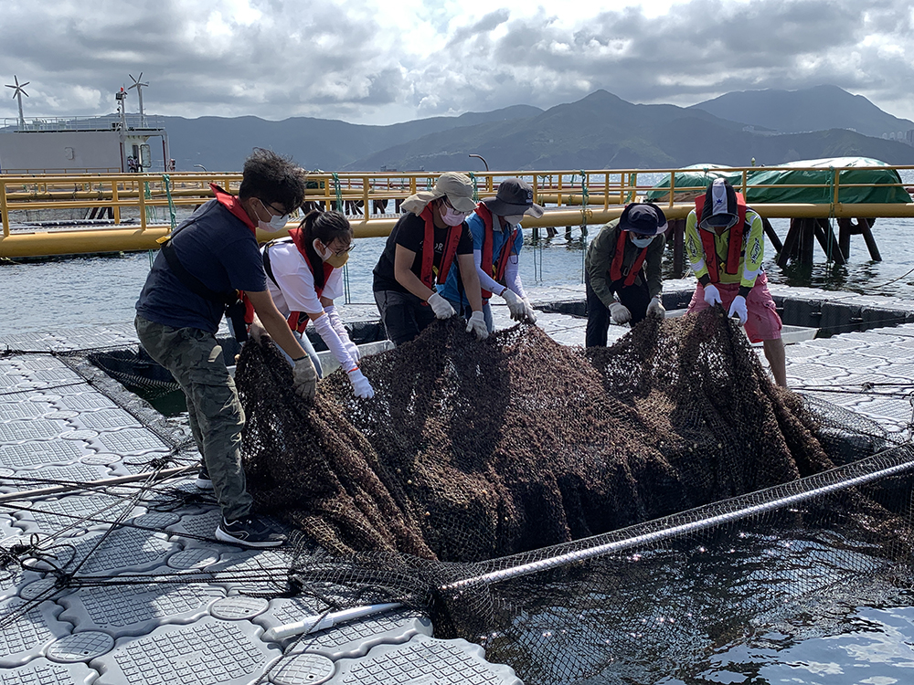 推廣海產養殖現代化及可持續發展計劃的學員在東龍洲深海網箱養殖示範場進行實習訓練