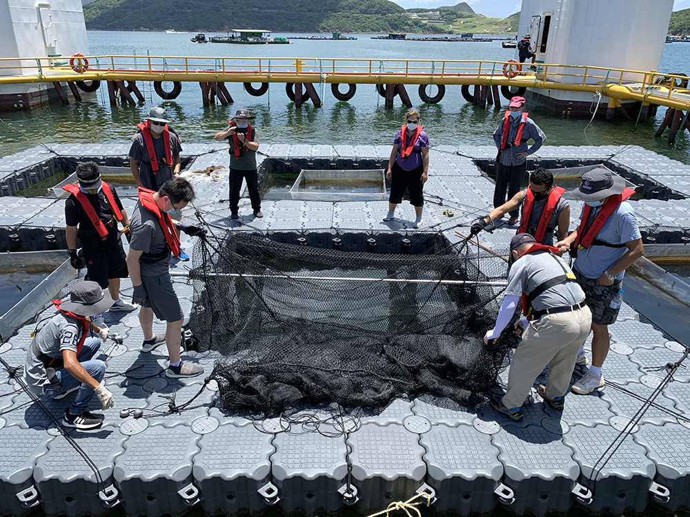 推廣海產養殖現代化及可持續發展計劃的學員在東龍洲深海網箱養殖示範場進行實習訓練