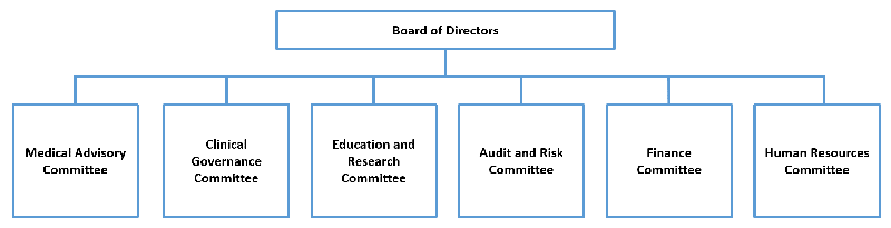 Committees under the Board of Directors of the Operator