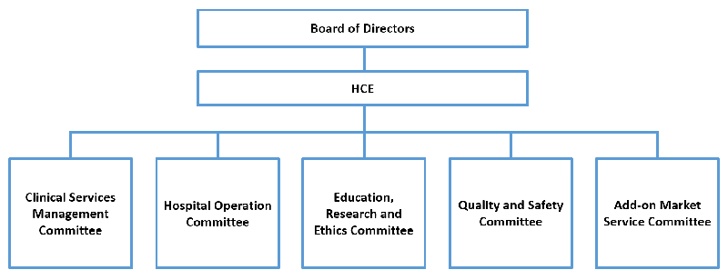 Executive Committees under the Hospital Chief Executive (HCE)