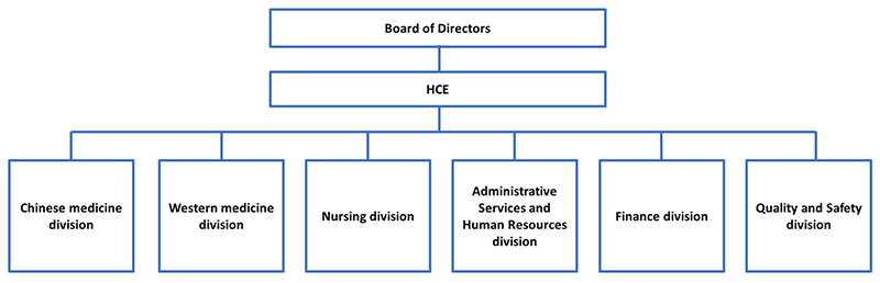 Hospital Administrative Structure under the HCE at divisional level