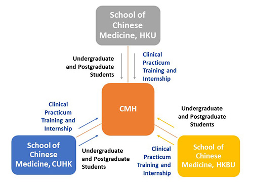 Diagram illustrating the role of CMH in training and education